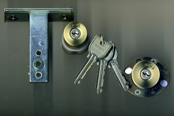 麗峰ドア用U9シリンダー　WD4534-00　色:BR　MIWA製　刻印 : TESP