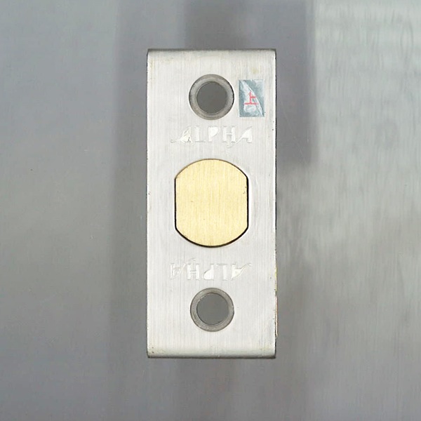 補助錠ケース　ALPHA製　C8DL253P6